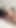 トランスヴァンデラ・エヴァンジェリスタのチンポをしゃぶる - コンピレーション1 |クリップ2