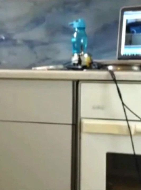 라이브 웹캠에서 핑거링하는 십대 섹시녀