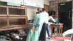 Pratinjau video