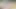0289 Do you like the woods as much as we do? 1 (Full Version from OnlyFans)