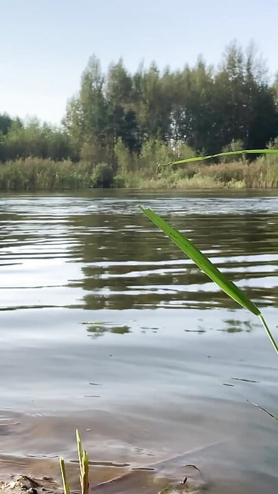Trans djevojka pliva u jezeru u plavoj sportskoj haljini. Wetllok trans djevojka mokra.