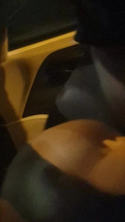 A pecora con amico