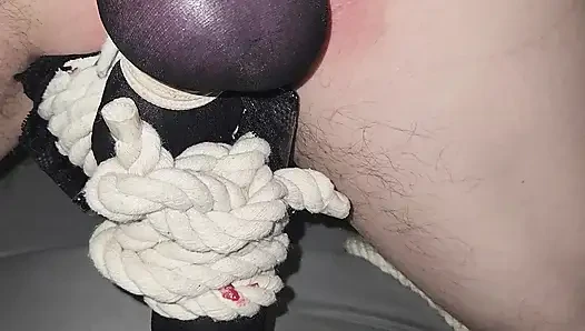 Goode Girl CBT a Nylon, Some Ropes and Ballbusting