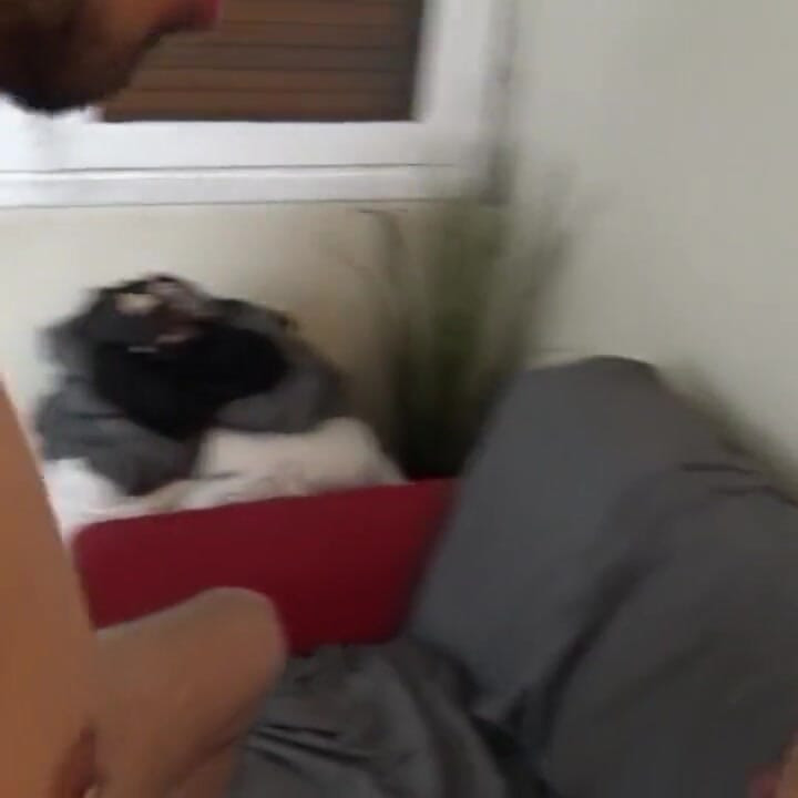 Twink Jevin dupe jebe romantik u dupe