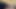 Photos and videos of the anaconda