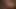 Dan Clark flashes his gorgeous bare butt during sex video