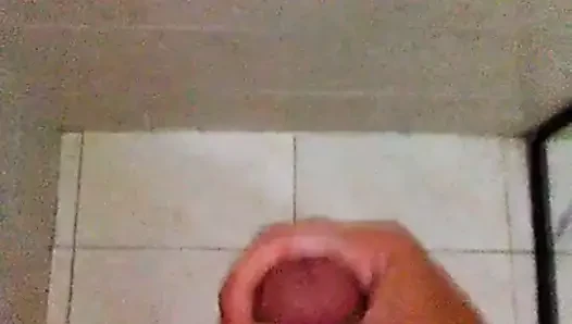 Gozada Leiteira