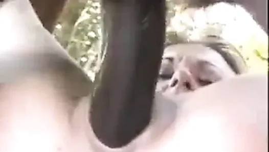 Cuckold  Films His Slut French Wife With The African Bull