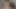 my desi muslim pakistani maid had no idea how her ass got destroyed in anal chudai, hard and rough painful chudai