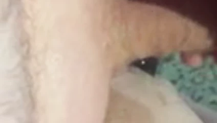 traş ve lubed jo oturum