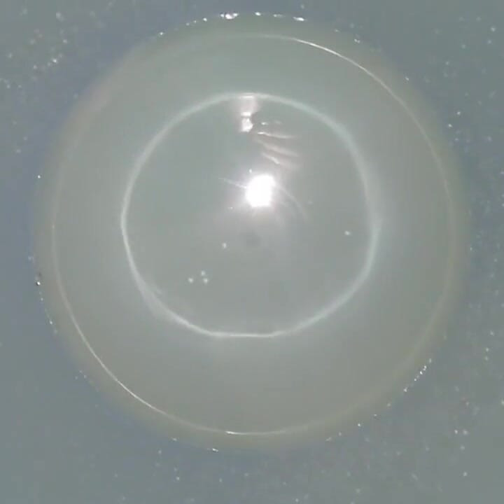 10 times pissing on a laver