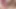 Natural Busty Latina Wants Anal Drilling From Trans Lover