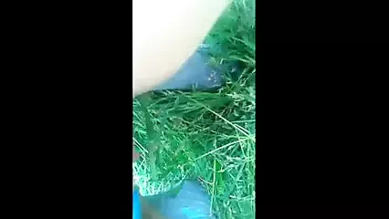 Polish squirting in holy Nature