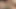 Cum shot from split cock