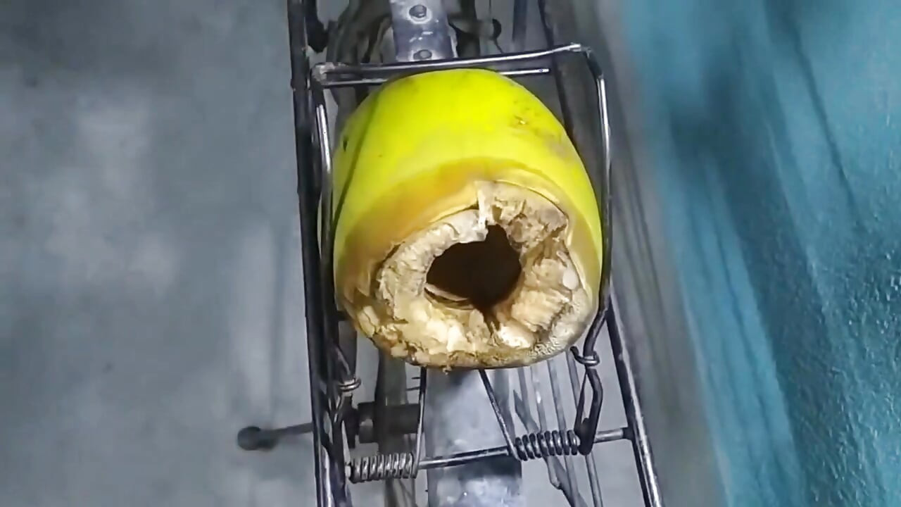 Moaning and fucking hole with Juicy Cumshot