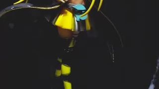 Figur Bukkake, Vocaloid Lily