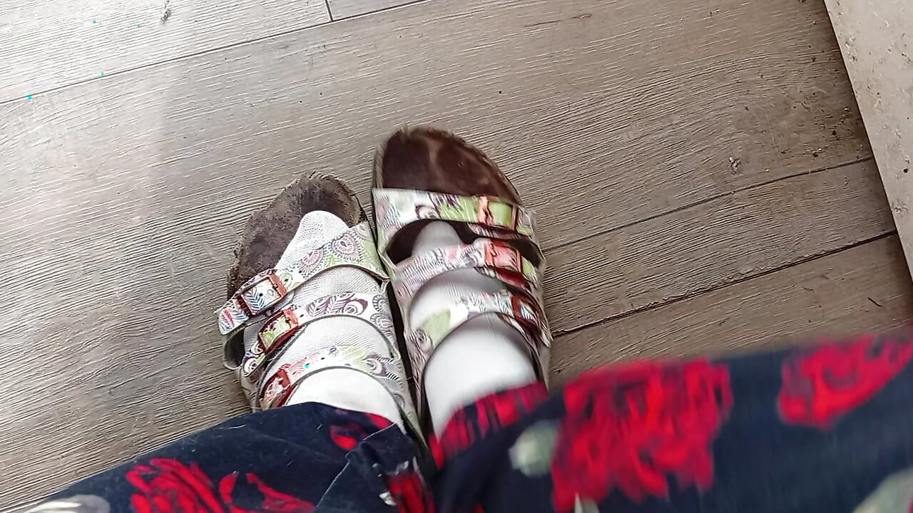 Solicitudes De Usuarios Para Mi Birkenstock