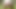 Cumming and walking naked in nature