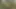 Jungle porn video – With latina in the woods