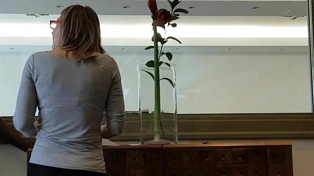 Ass in office