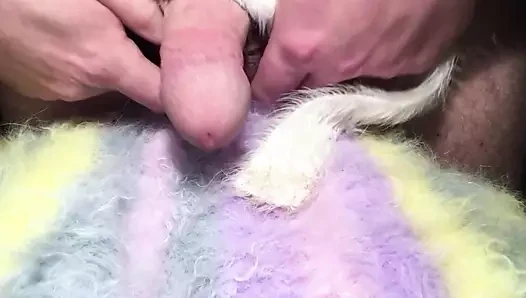 angora fuzzy-fluffy-furry