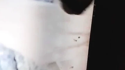 İzlerken porno süre ben masturbasyon yapmak benim horoz ve boşalmak