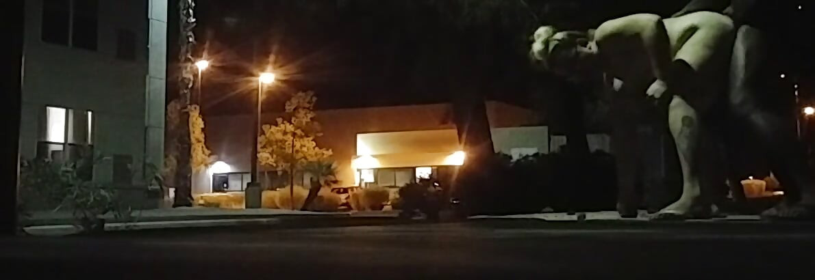 Public sex in the night time shadows!
