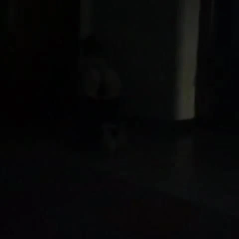 Troia