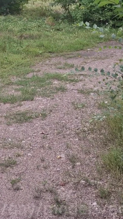 Memorable moment from "Fucked in public, the narrow hole is gouged by daddy's big dick right in the car on the highway to cum!"