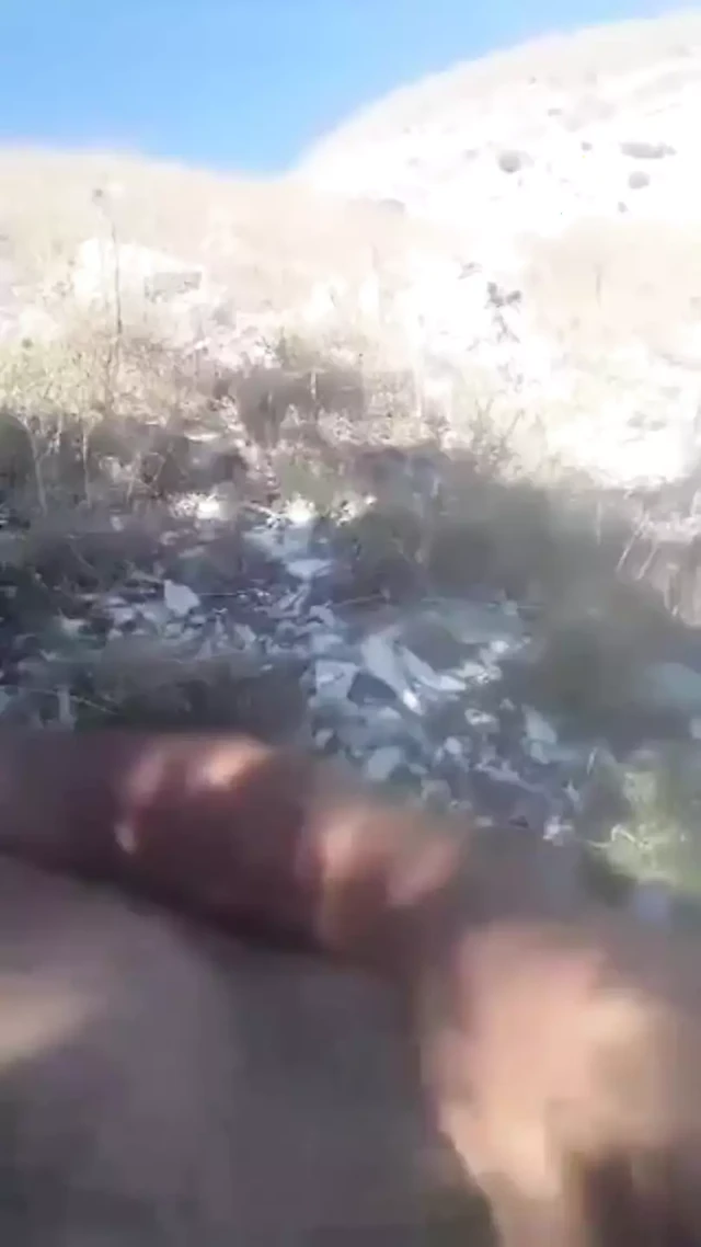 Old Albanian Dad Huge Cock Cumshot
