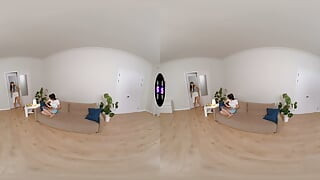 TMW VR Net