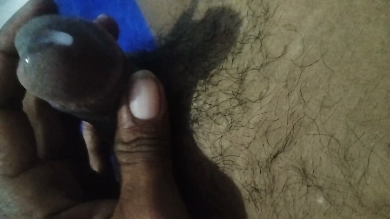 ব্ল্যাক কক গাই