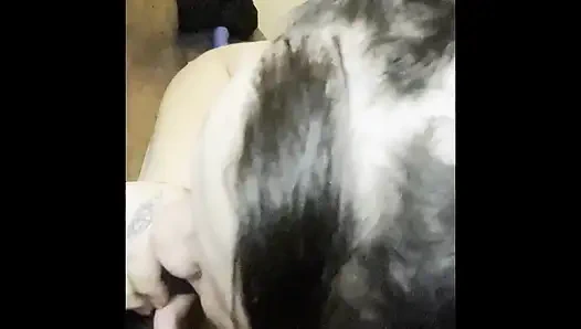 Aku lagi asik nyepong kontol sebelum memek becekku dientot habis-habisan sama kontol besar pria kulit hitam