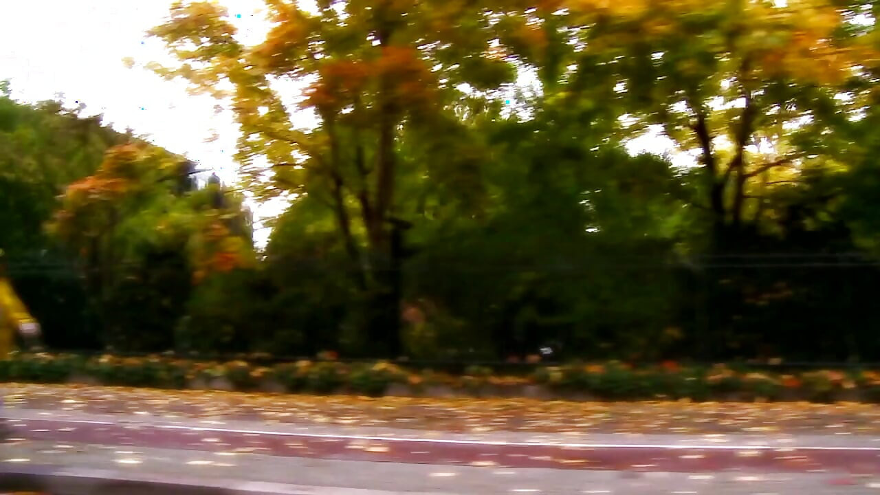 Lovely MILF fucked in her big ass and pussy