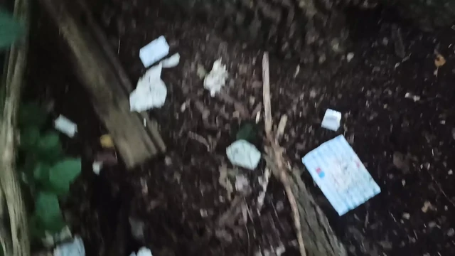 Outdoor walking