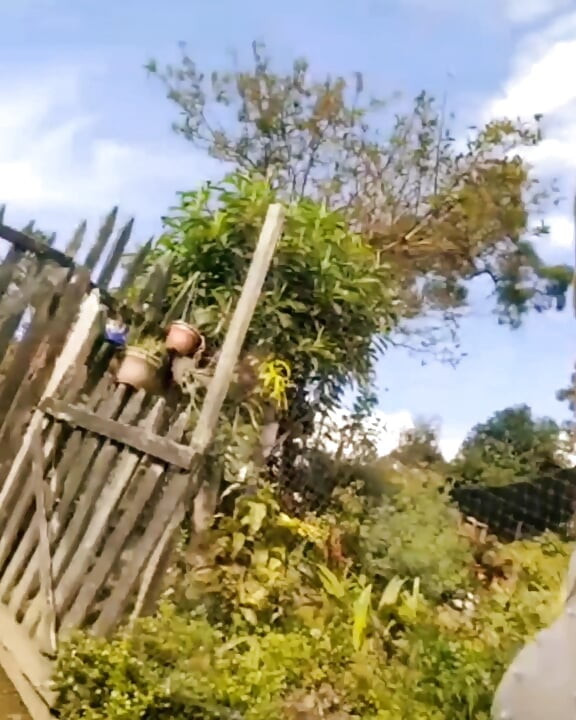 Live Show November 11