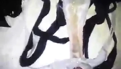 Pantycum