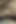 Sexy Neighbor's Sex Desi Sex Video