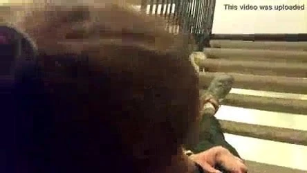 Head on the stairs