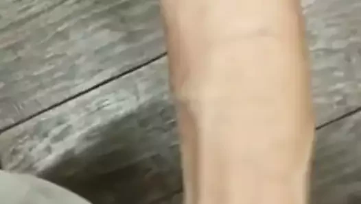 büyük beyaz horoz