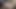 Fantastic cum