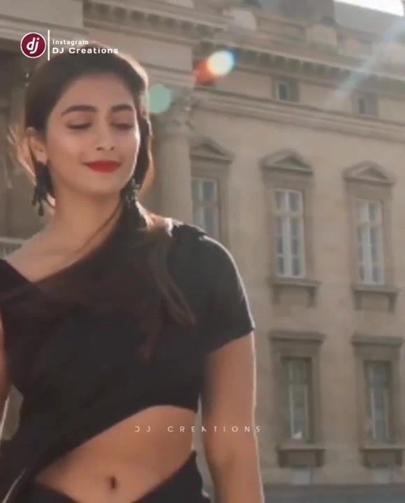 Pooja hedge
