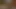 Fan request fulfillment