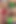 Geen file elbiseli Hotkinkyjo mrhankey'den büyük dildo alıyor, anal yumruk sokma, esneme ve sarkma