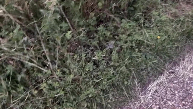 Masturbating in public
