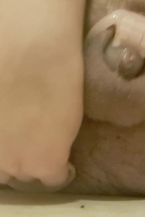 ぽっちゃりした弱虫が貞操で絶頂