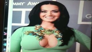 Hołd Katy Perry 2