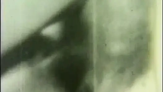 The Neighborhood Whore