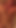 Horny brief video of me playing