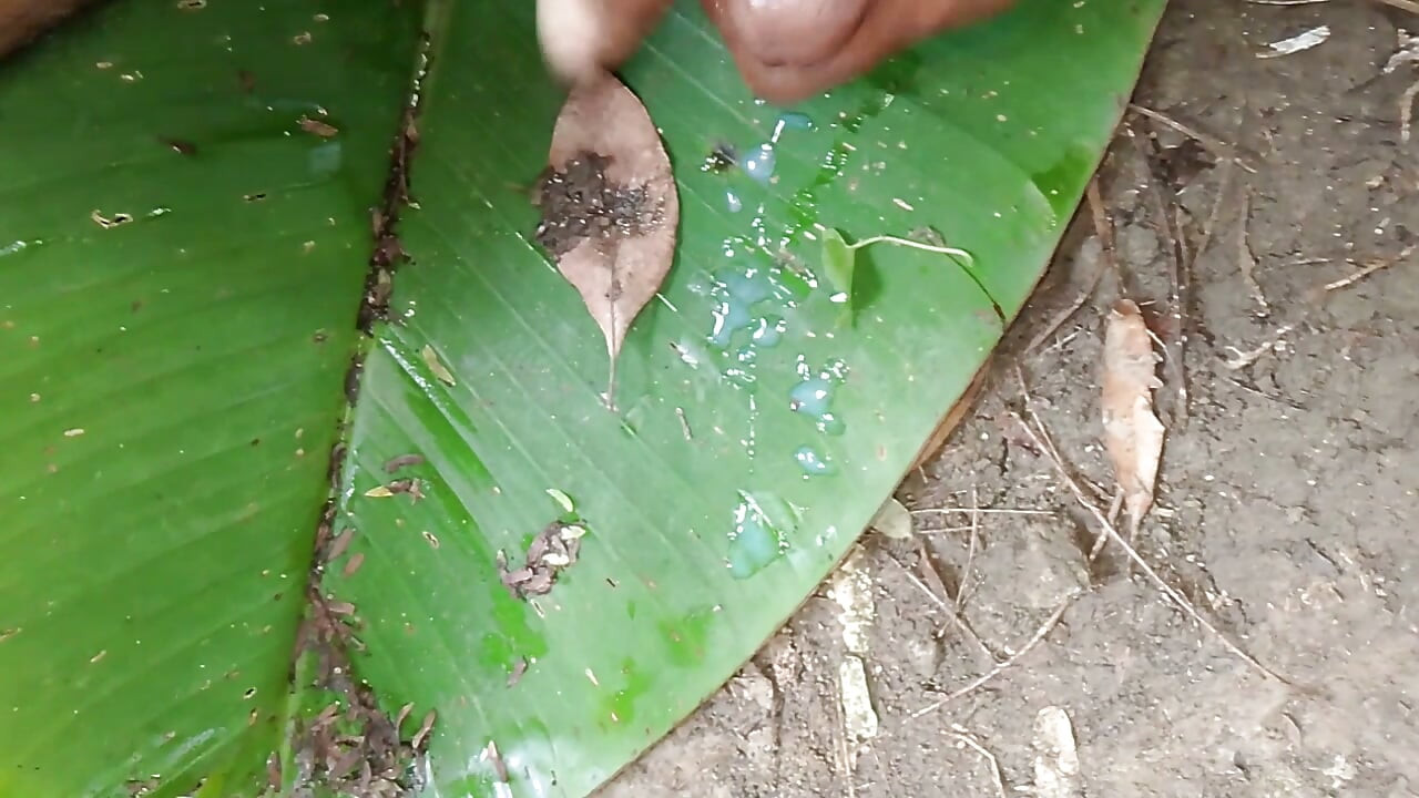 original video